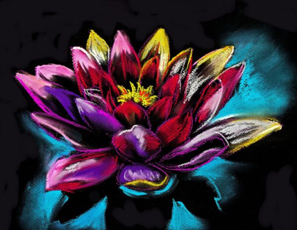 Une image d'un dahlia en fleurs – Image 2