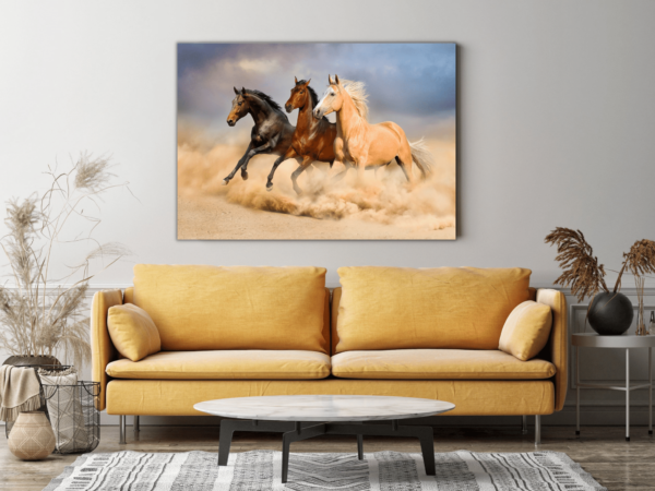 Image de chevaux qui courent – Image 3