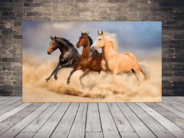 Image de chevaux qui courent