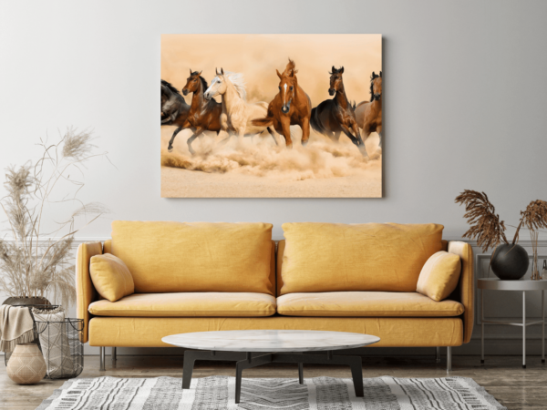 Image de chevaux au galop – Image 3