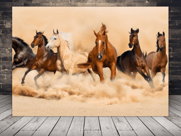 Image de chevaux au galop