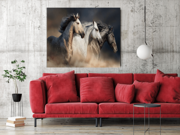 Une image d'un cheval qui court – Image 3