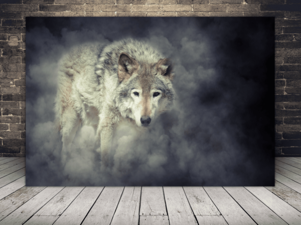 Une image d'un loup blanc