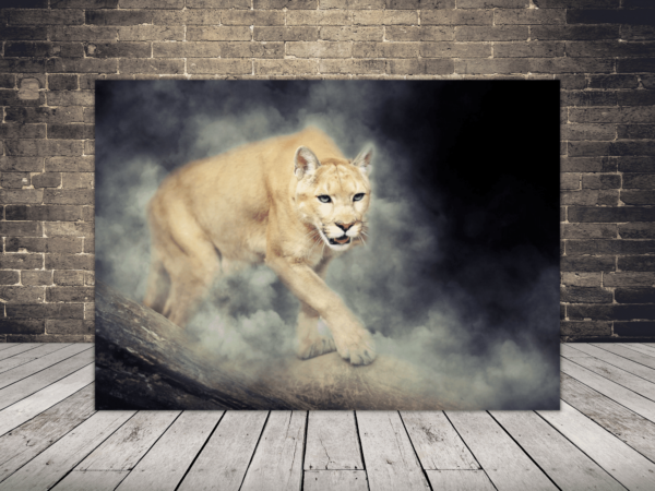 Toile Lionne furtive