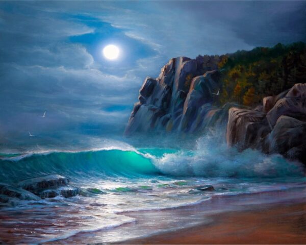 L'image des vagues et de la falaise – Image 2