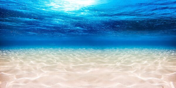 Image de la mer bleue – Image 2