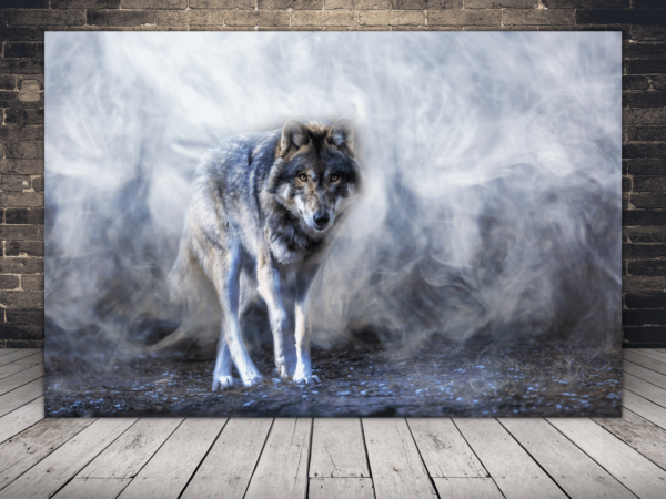 Image d'un loup dans la brume