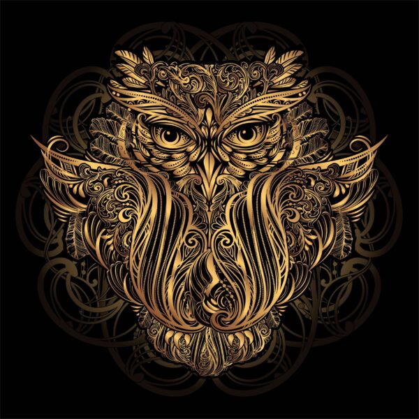 Une image d'un hibou d'or – Image 2