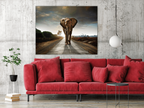 Une image d'un éléphant sur la route – Image 3