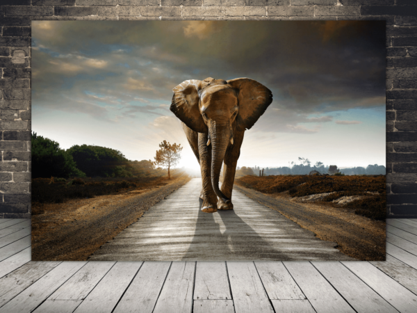 Une image d'un éléphant sur la route