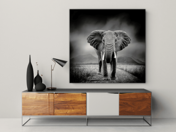 Une image d'un portrait d'un éléphant – Image 3