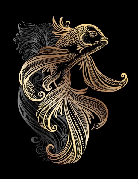 Une image d'un poisson rouge – Image 2