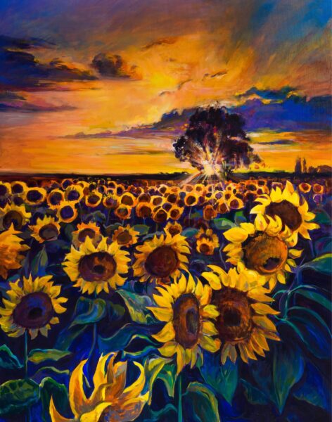 Une image d'un champ de tournesols – Image 2