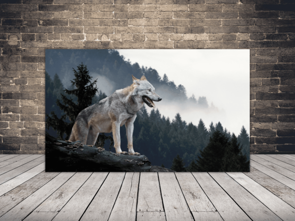 Image du loup et des montagnes