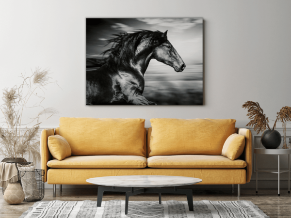 Image d'un cheval noir – Image 3