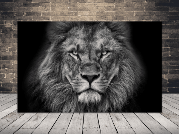 Image d'un lion fier