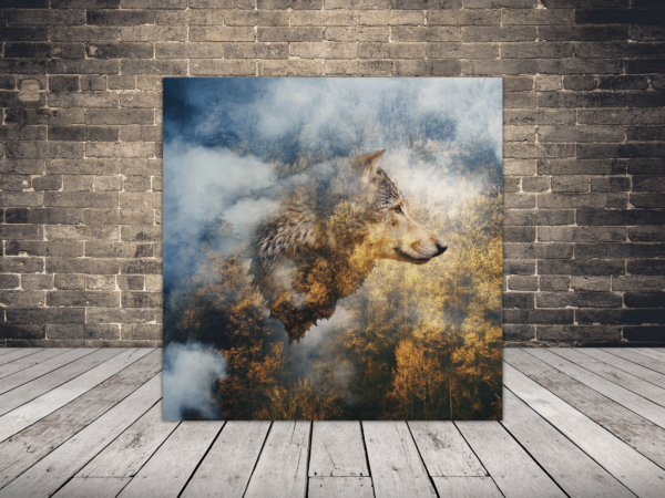 Image d'un portrait d'un loup