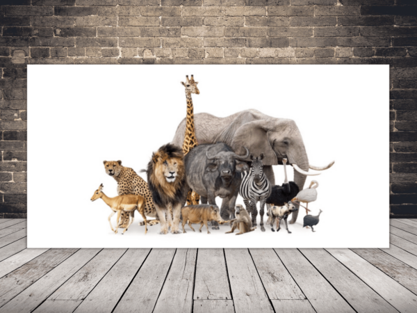 Une image d'animaux dans le zoo