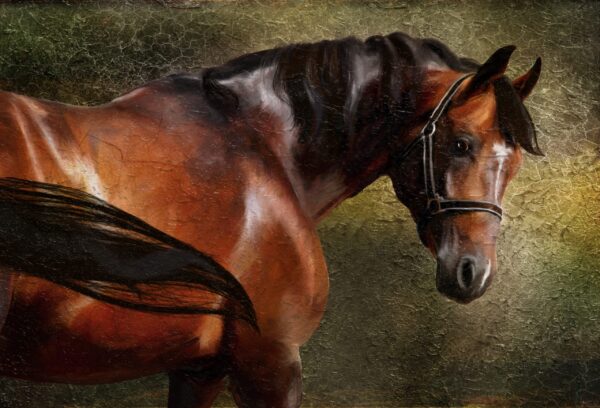 Une image d'un regard de cheval – Image 2