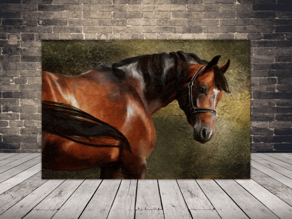 Une image d'un regard de cheval