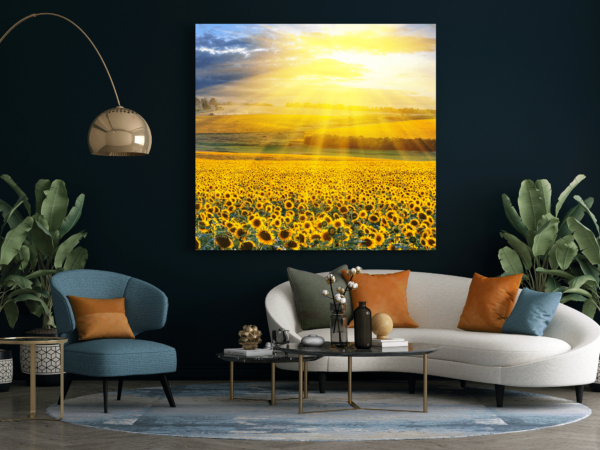 Une image d'un champ de colza solaire – Image 3