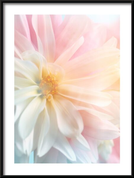 Lueur florale Poster – Image 3