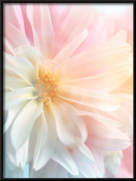 Lueur florale Poster – Image 4