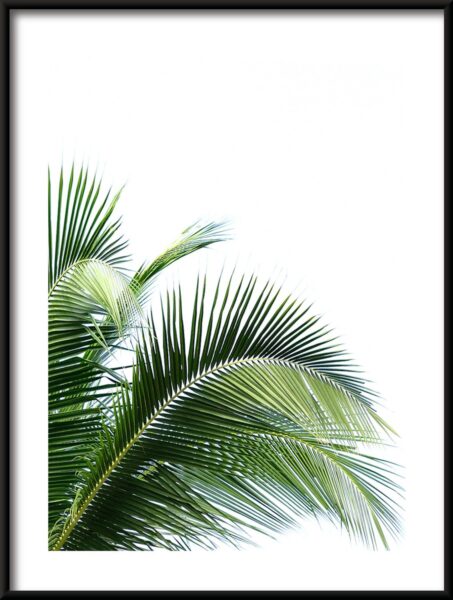 Vert palmier Poster – Image 3