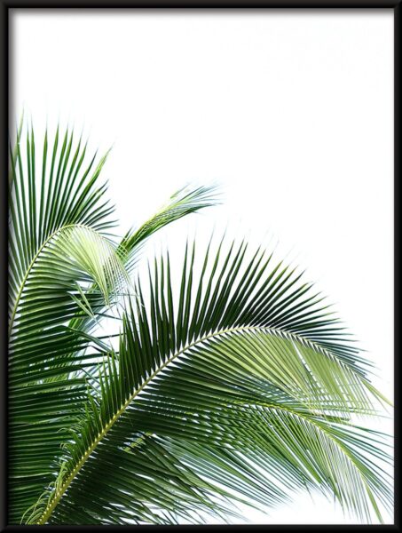 Vert palmier Poster – Image 4