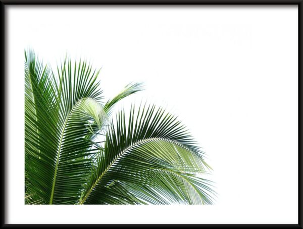 Vert palmier Poster
