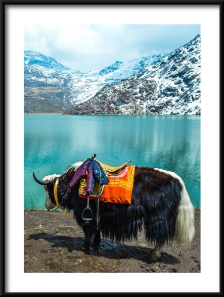 Affiche Au bord du lac – Image 3