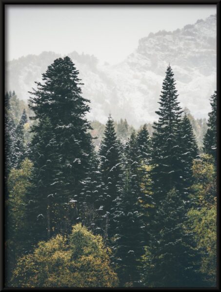 Affiche forêt de montagne – Image 4