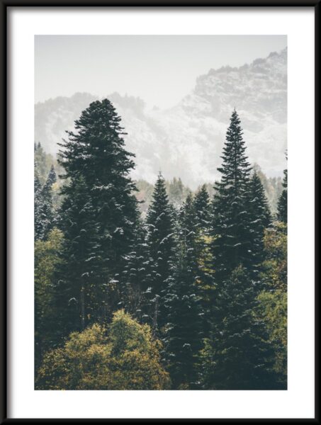 Affiche forêt de montagne – Image 3