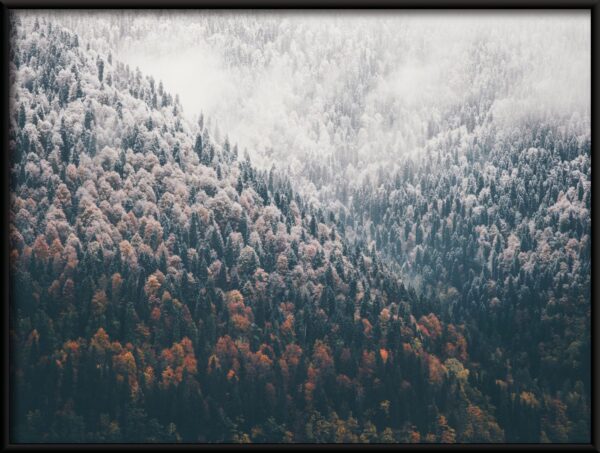 Affiche forêt de montagne – Image 2