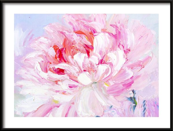Pivoine rose Poster