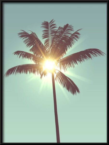 Poster Le soleil dans le palmier – Image 4