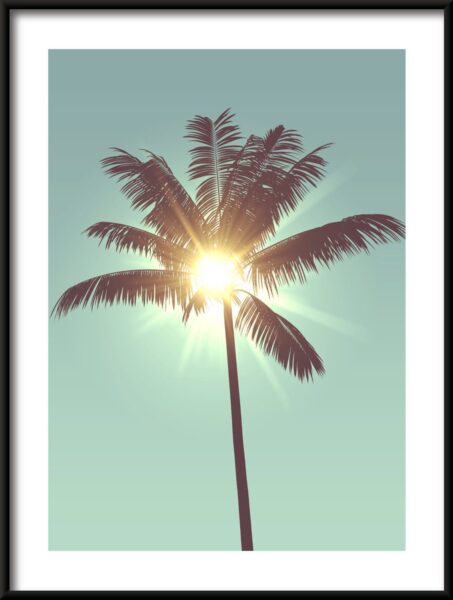 Poster Le soleil dans le palmier – Image 3