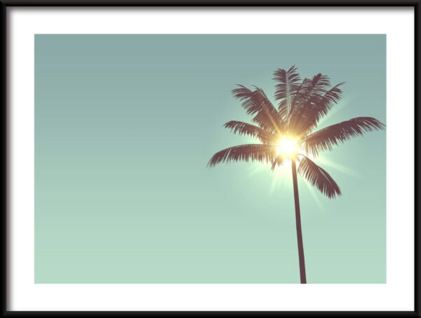 Poster Le soleil dans le palmier