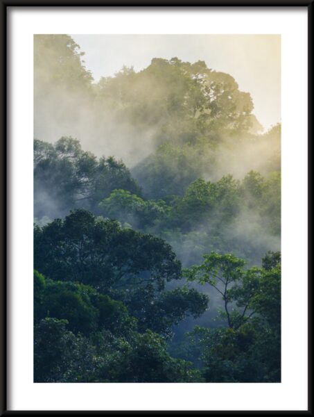 Forêt derrière le brouillard Poster – Image 3