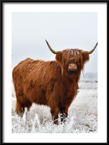 Grand animal Poster – Image 3