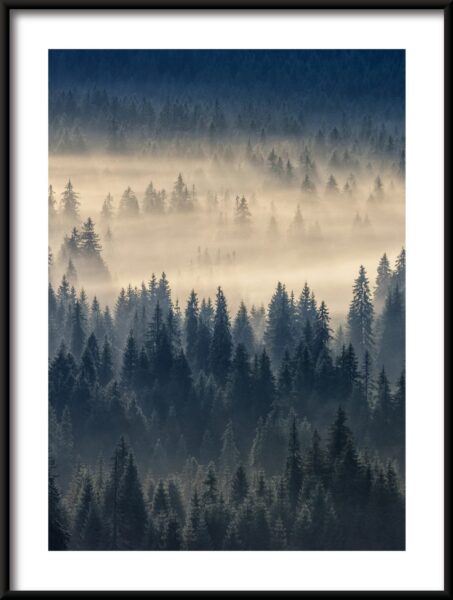 Brouillard de forêt Poster – Image 3