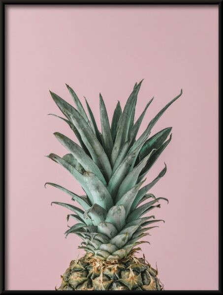 Affiche fleur d'ananas – Image 2