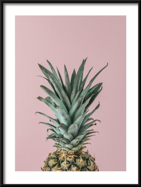 Affiche fleur d'ananas