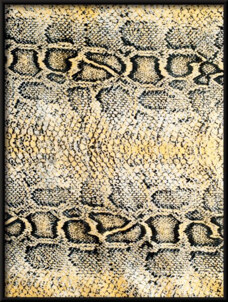 Affiche peau de serpent – Image 4