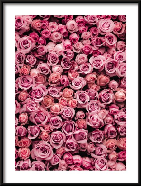 Affiche Mer de roses – Image 3