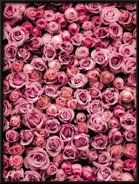 Affiche Mer de roses – Image 4