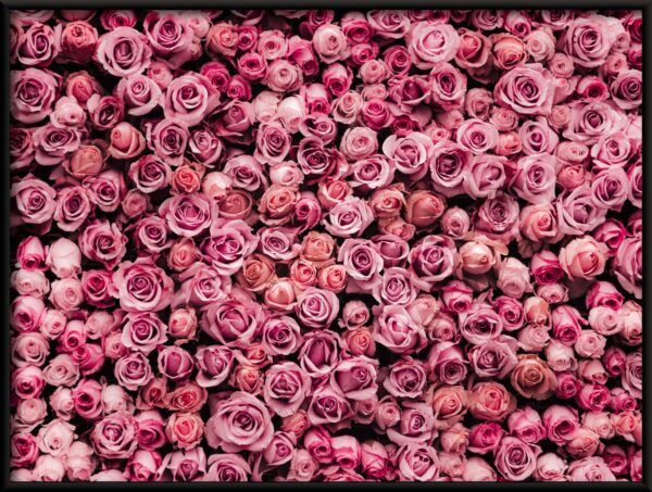 Affiche Mer de roses – Image 2