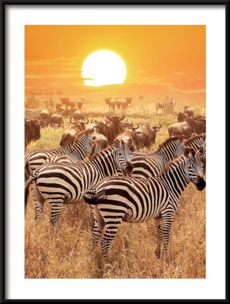 Affiche de la faune africaine – Image 3