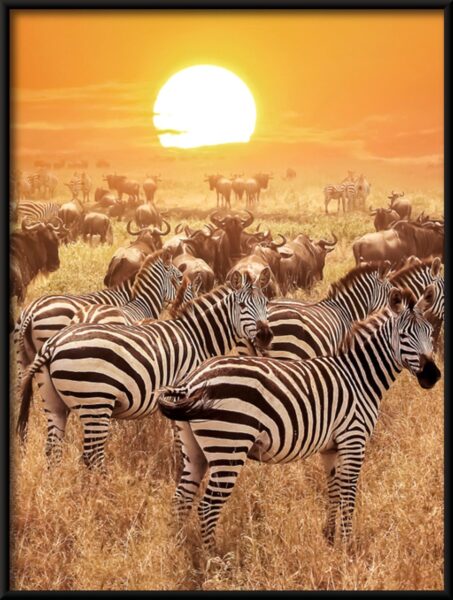 Affiche de la faune africaine – Image 4