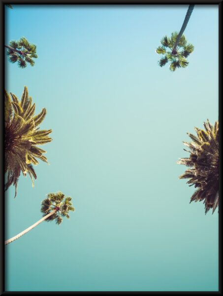 Affiche Sous les palmiers – Image 4